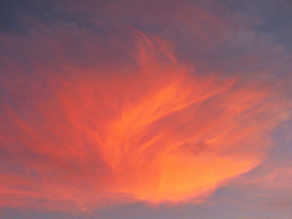 Photograph by Hilary McShine