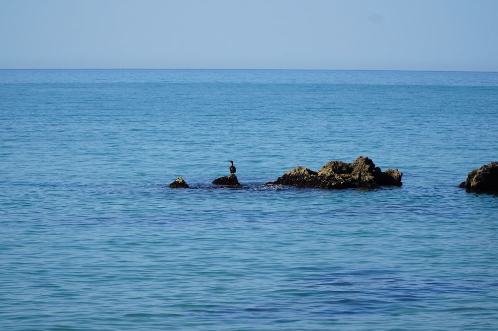 Photograph by Чавдар Георгиев