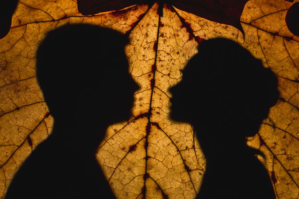 Воспоминания