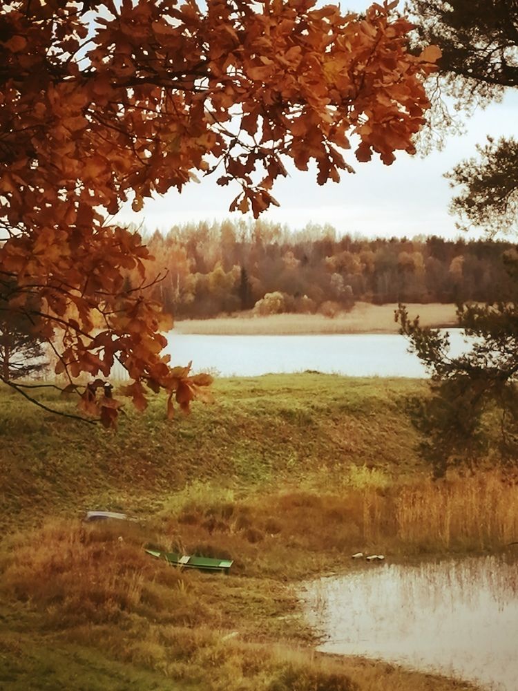 Photograph by Галина Смирнова