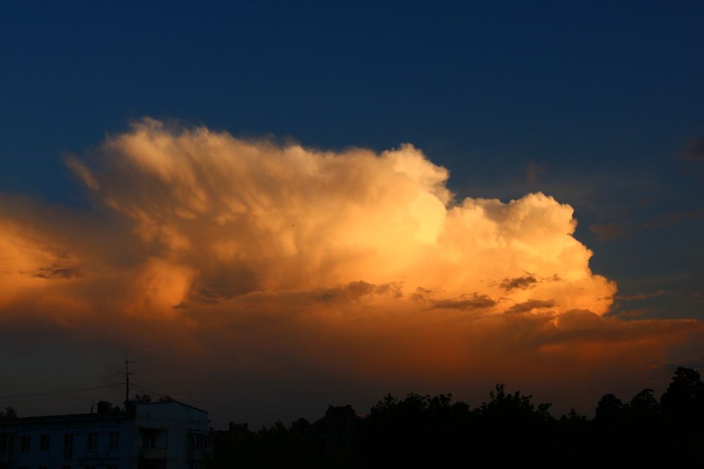 Photograph by Светлана Шуткова