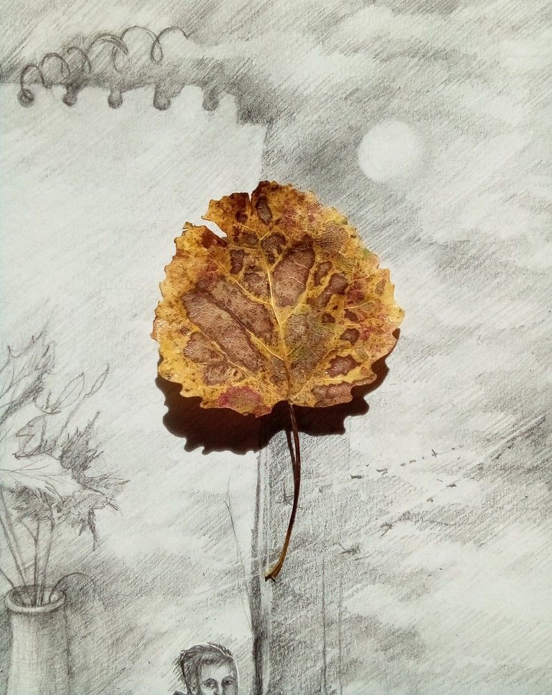 Photograph by Людмила Баглей