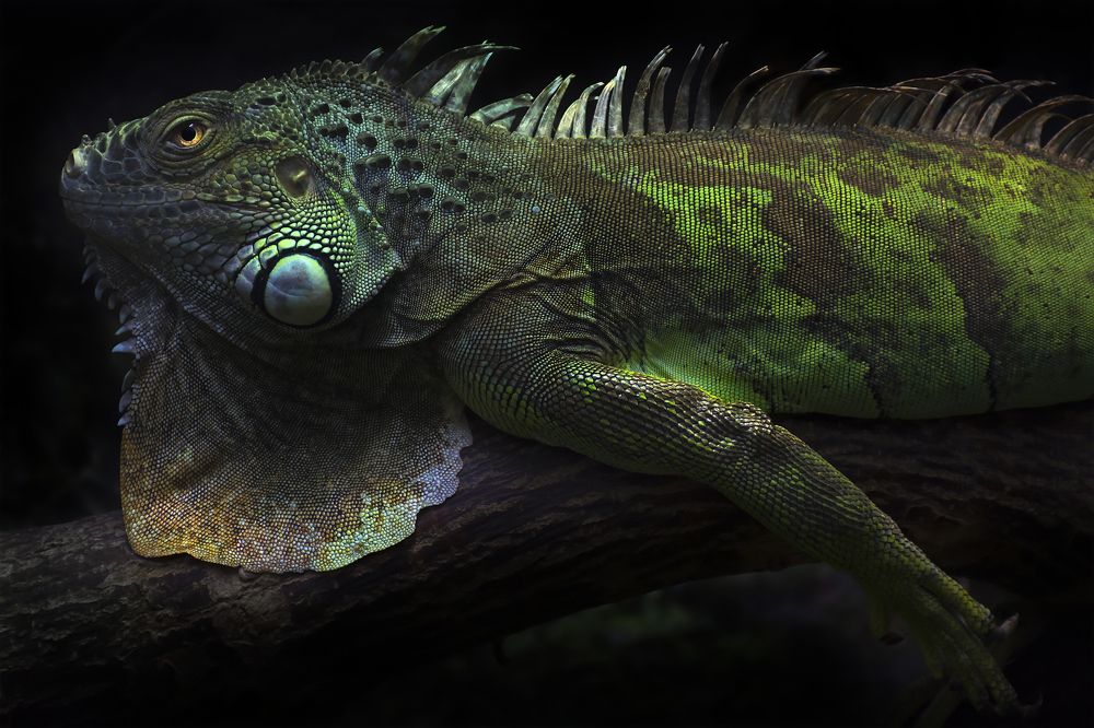 Photograph by Сергей Алексеевич