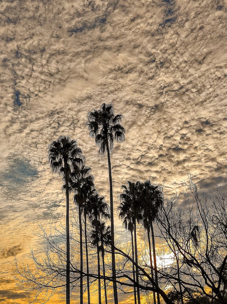 Photograph by Maximo Parpagnoli