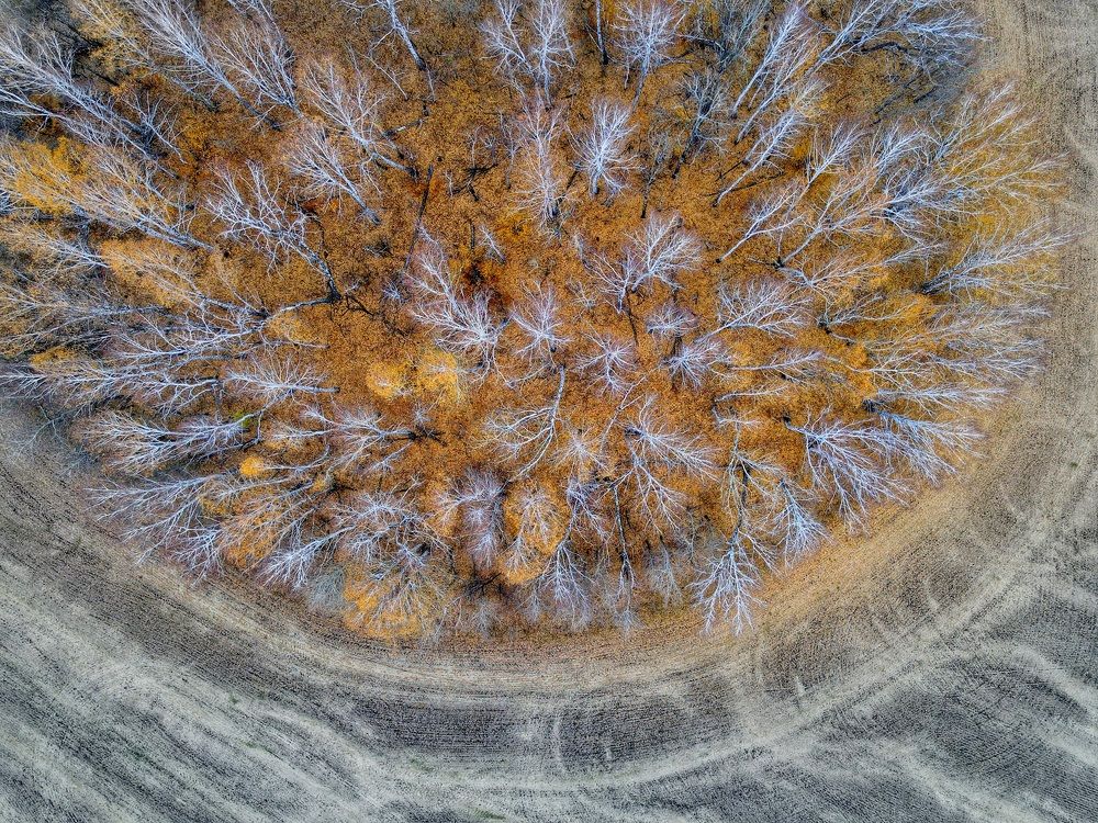 Photograph by Мария Шрейдер