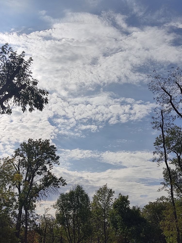 Перестые облока