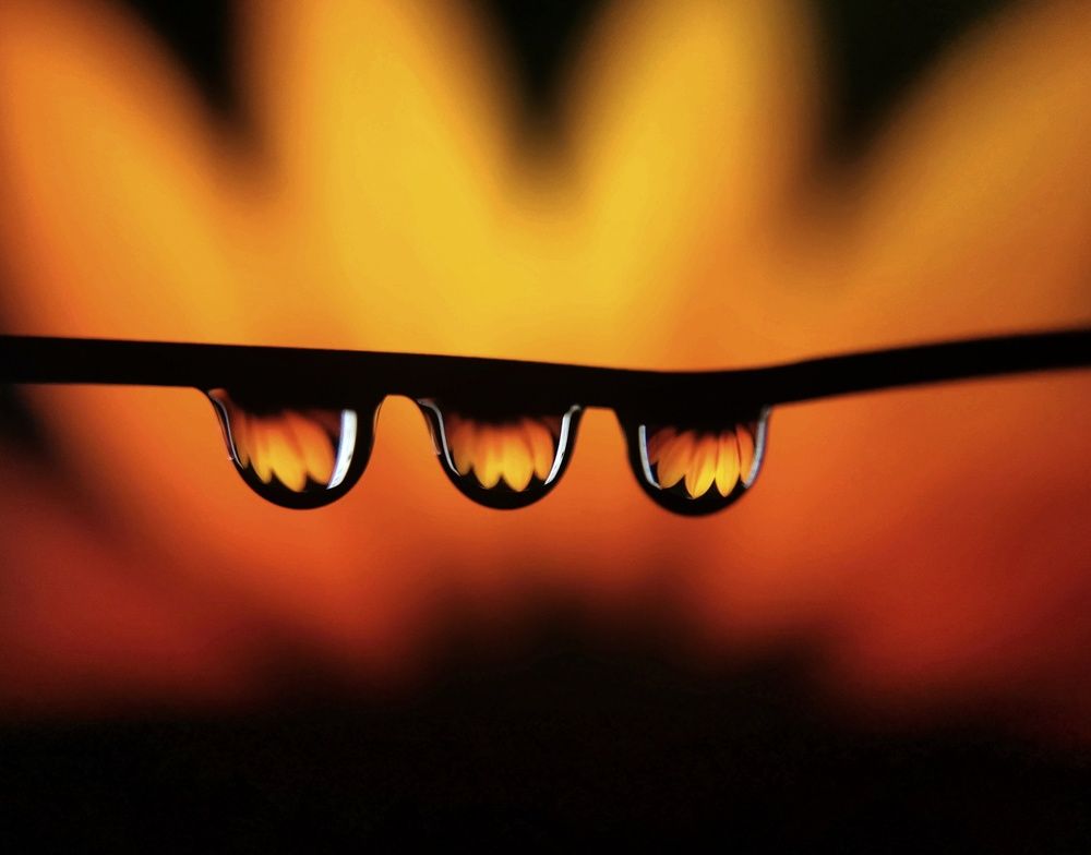 Photograph by Shahid Siyal