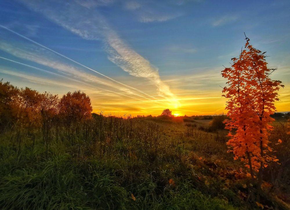Photograph by 
