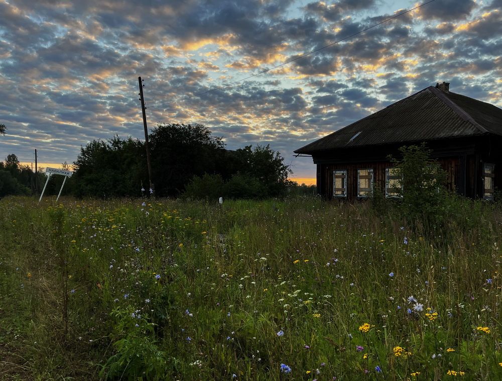 Вот моя деревня...!