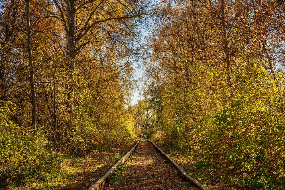 Photograph by Делана Романова