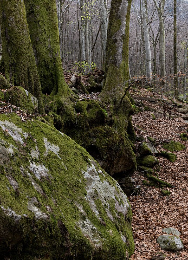 Photograph by Вадим Пасека