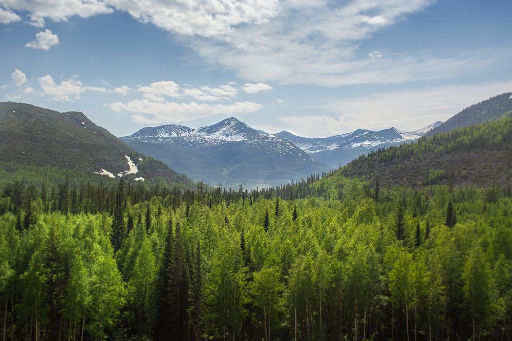 Photograph by Сергей Алексеевич