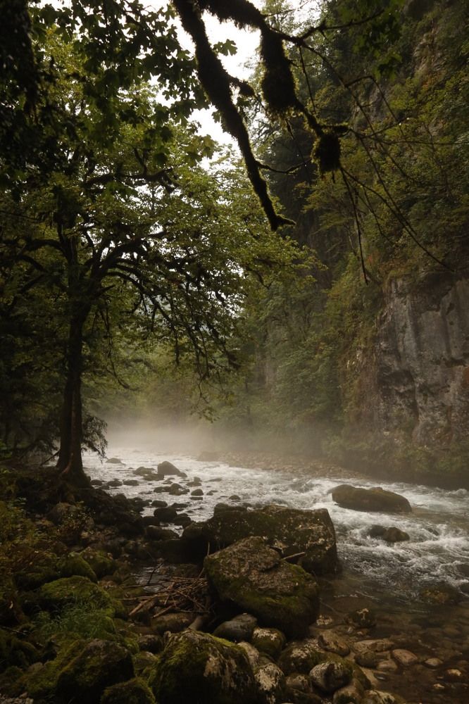 Photograph by Юлия Кондрашина