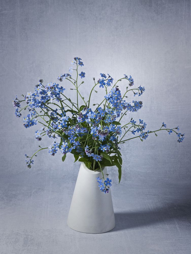 Photograph by Морозов Сергей