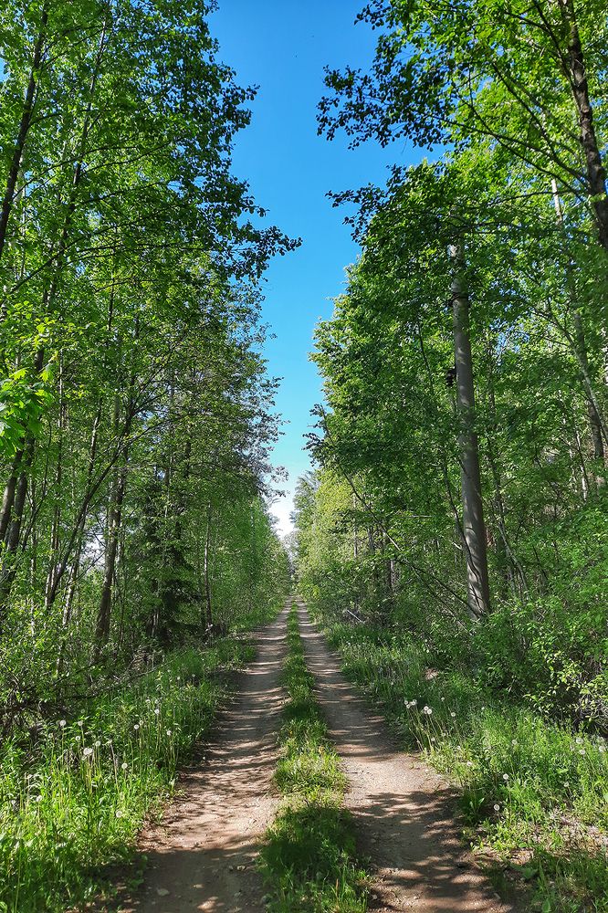 Photograph by Михаил Рассказ