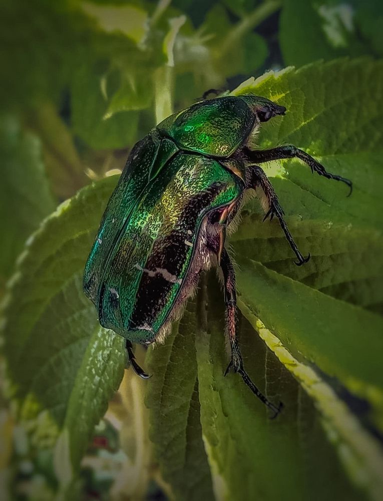 Photograph by Люда Яковлева