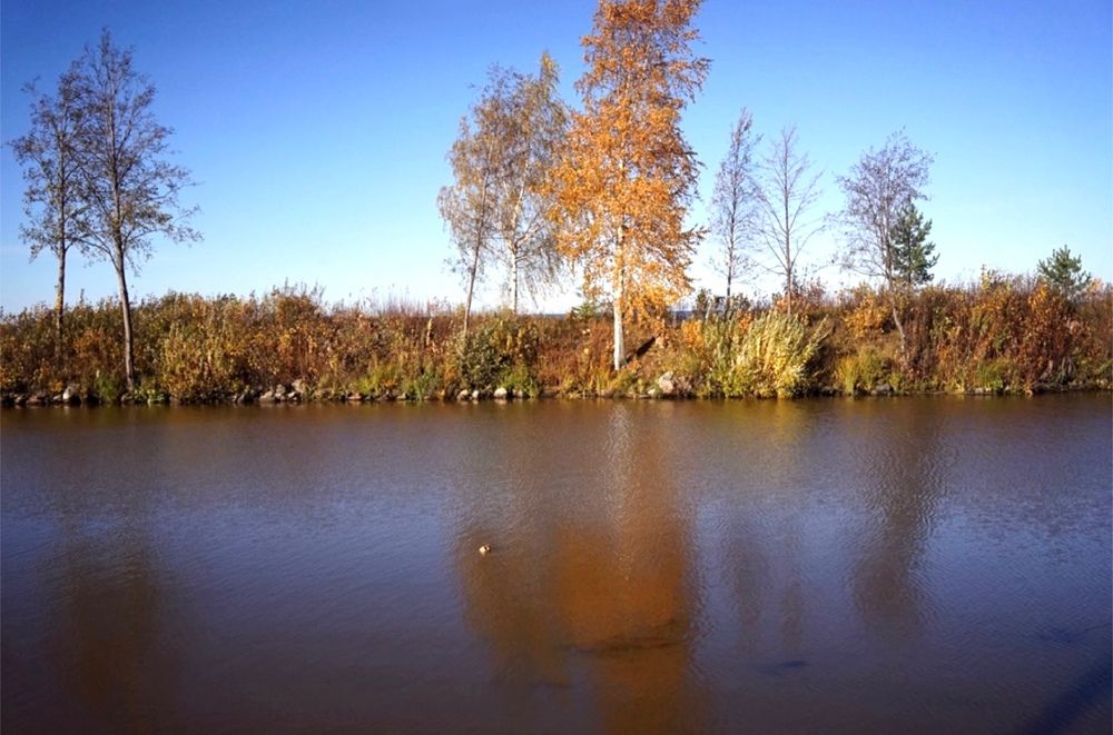 Photograph by Юлия Дерябкина