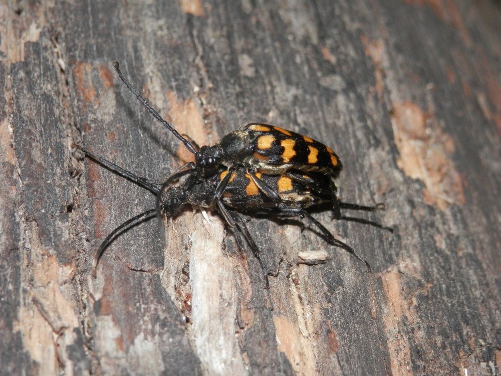 Photograph by Георгий Салюков