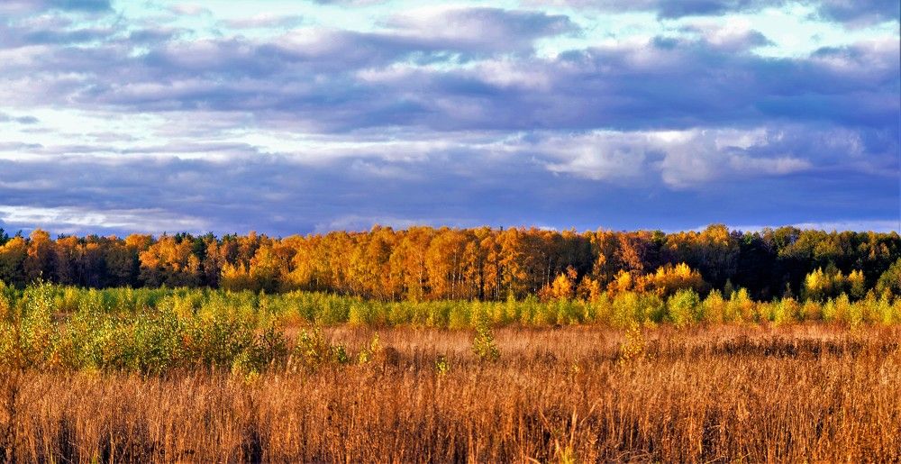 Photograph by Yrii Usoltsev