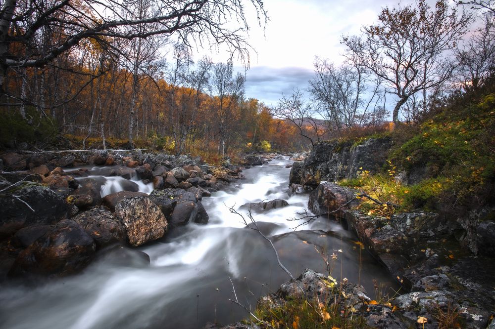 Photograph by ЕВГЕНИЙ СКАЛОЗУБОВ