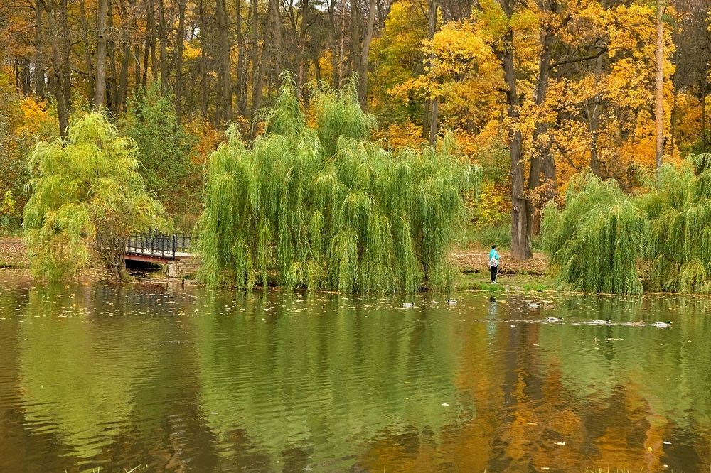 Осенняя грусть