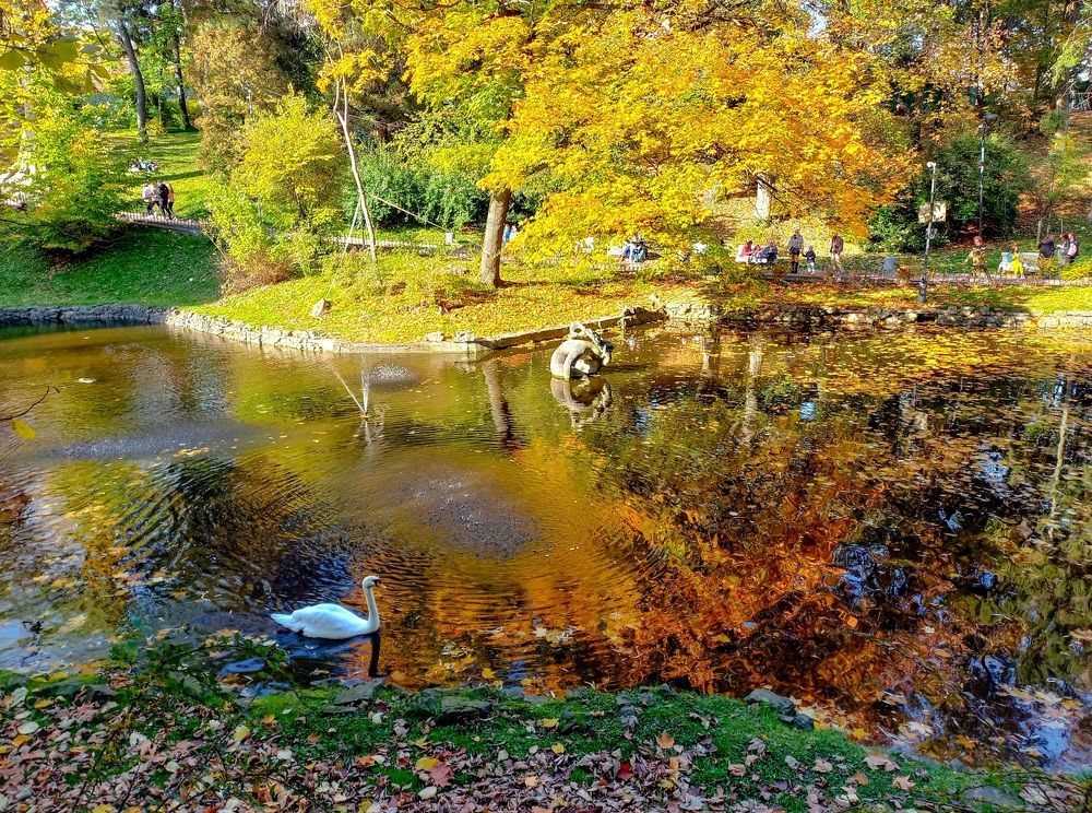 Photograph by Елена Шерман