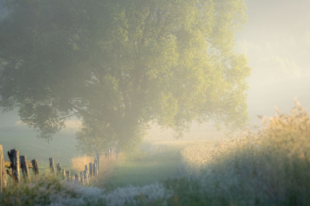 Photograph by Wiktor Kulesa