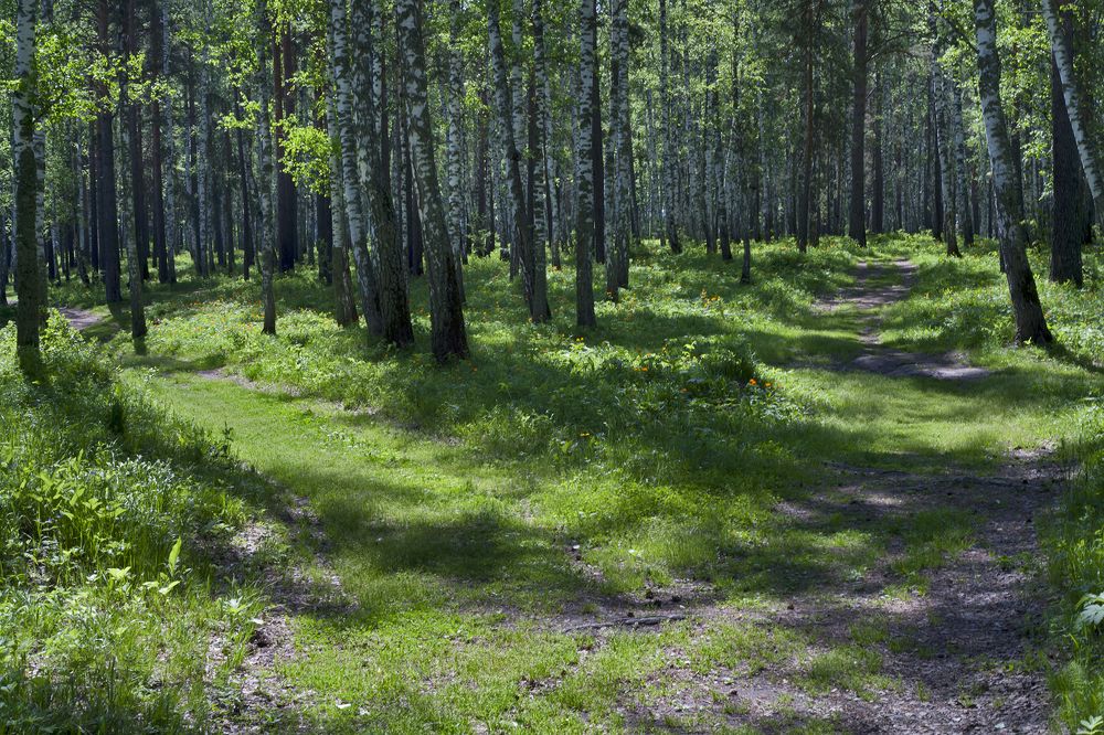 Photograph by Панюшкин Андрей