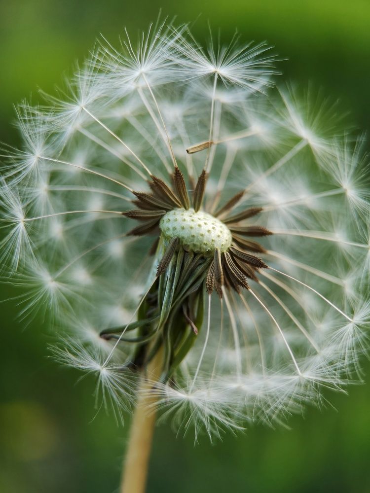 Photograph by Natali