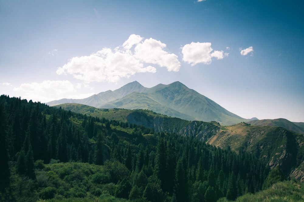 Photograph by Василий Шумкин