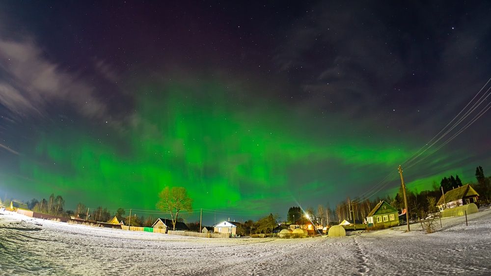 Photograph by Татьяна Шандромайло