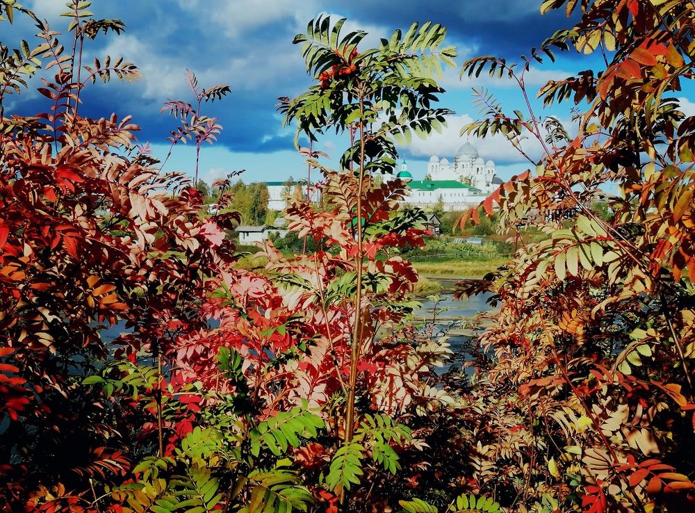 Photograph by Галина Карманова