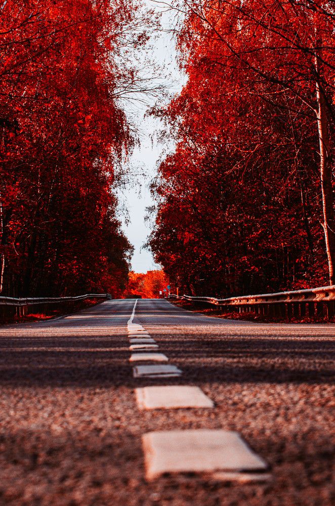 Photograph by Мария Дубова