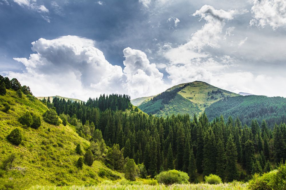 Photograph by Василий Шумкин