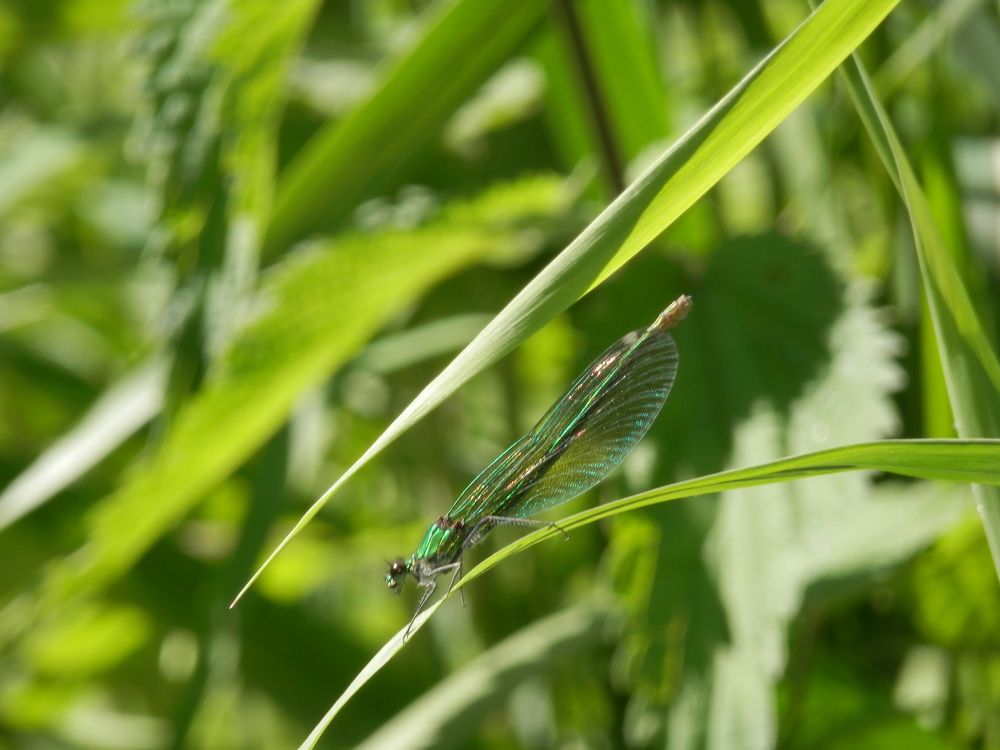 Photograph by Георгий Салюков