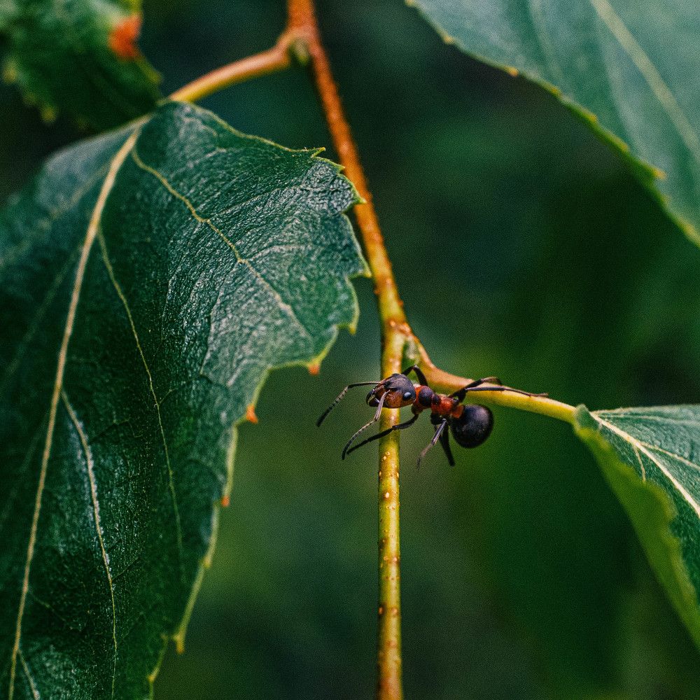 Photograph by Мария Дубова