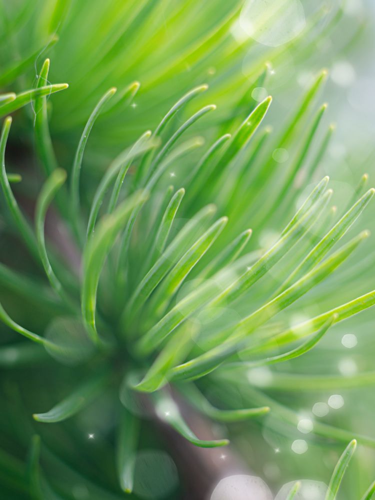 Photograph by Мария Дубова