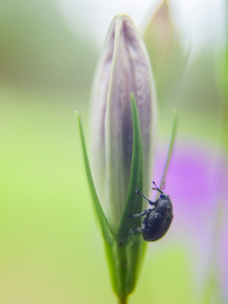 Photograph by Мария Дубова