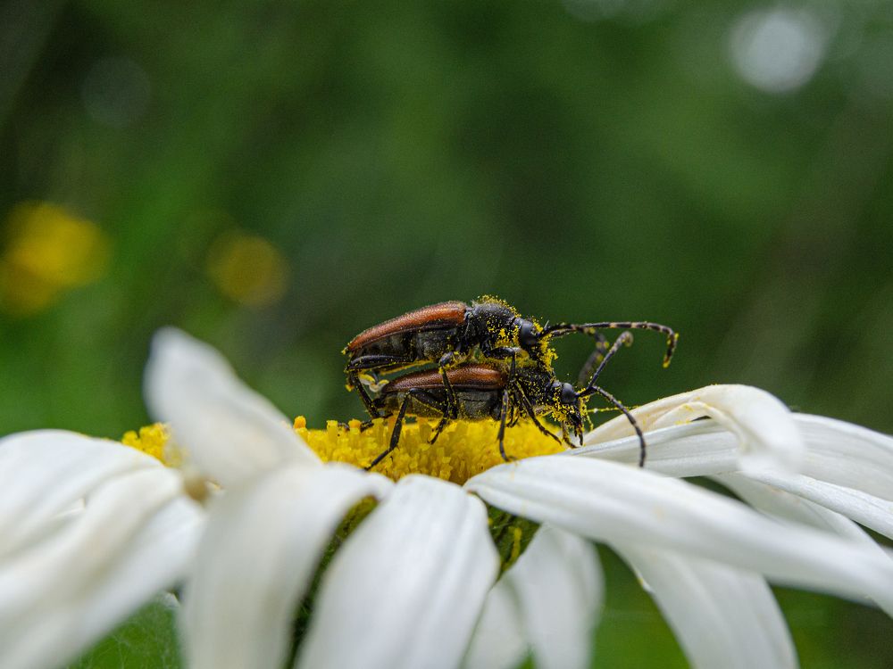 Photograph by Мария Дубова