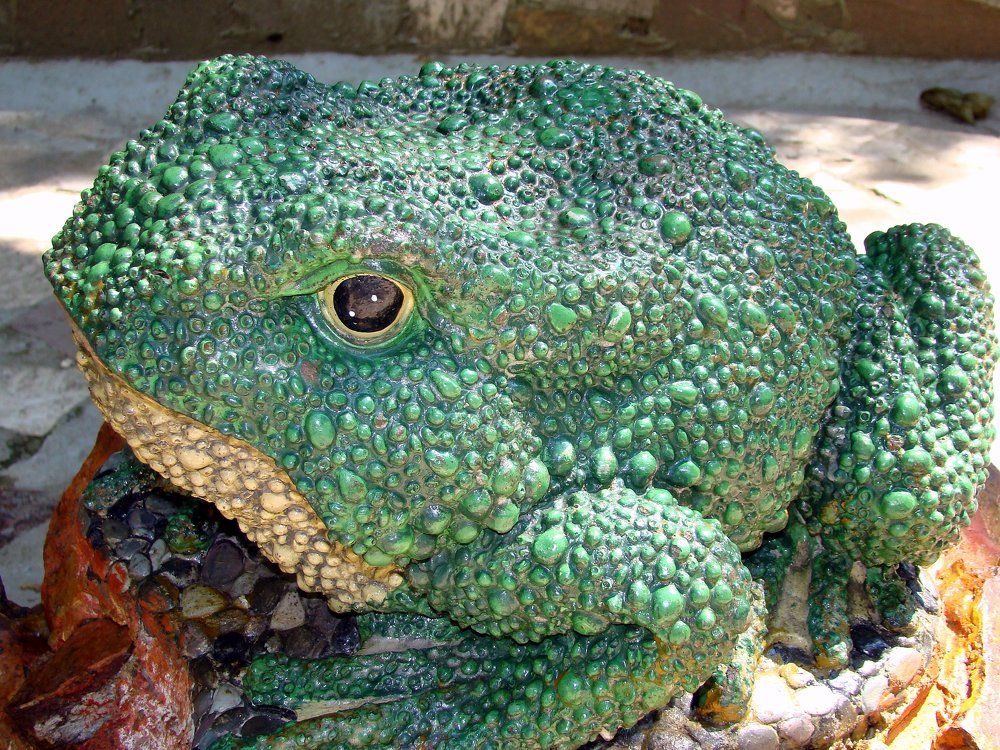 Photograph by Ирина Федичева