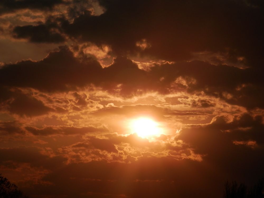 Photograph by Георгий Салюков