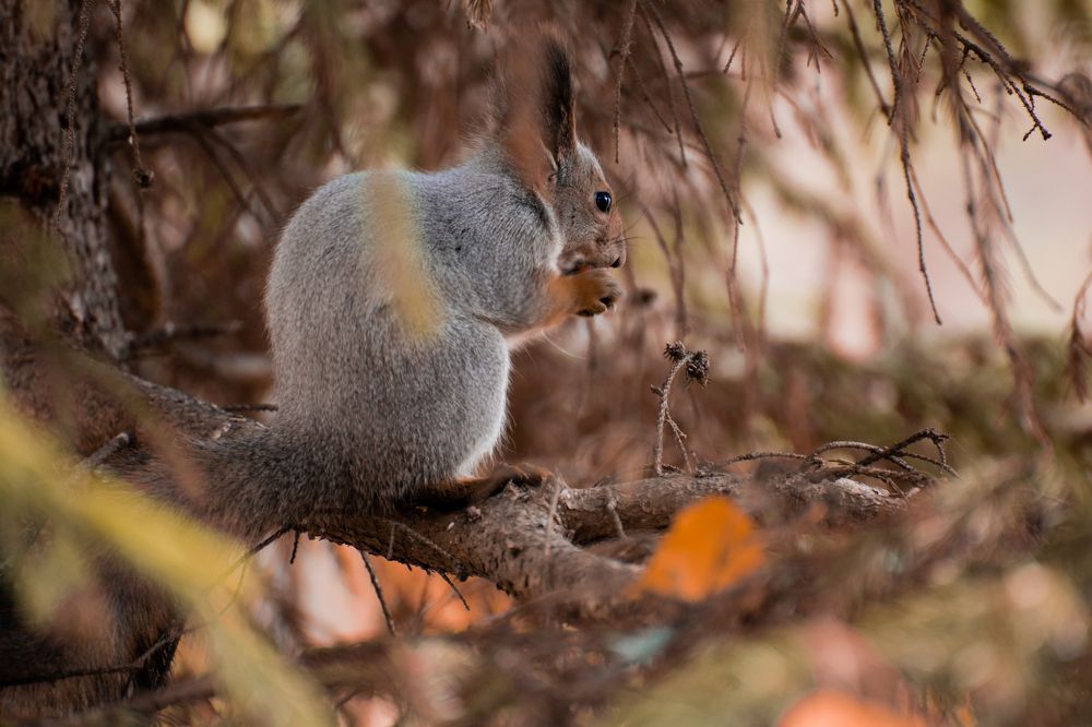 Photograph by Дмитрий Кочетков