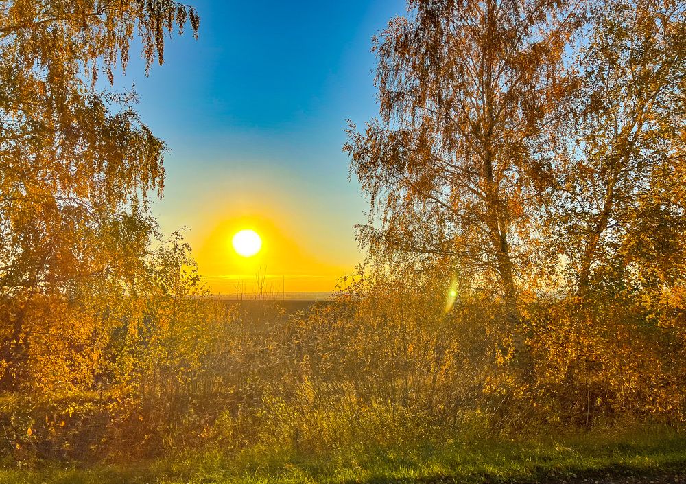 Photograph by Елена Сиушова