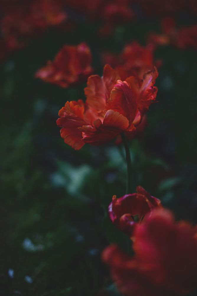 Photograph by Наталия Комаровская