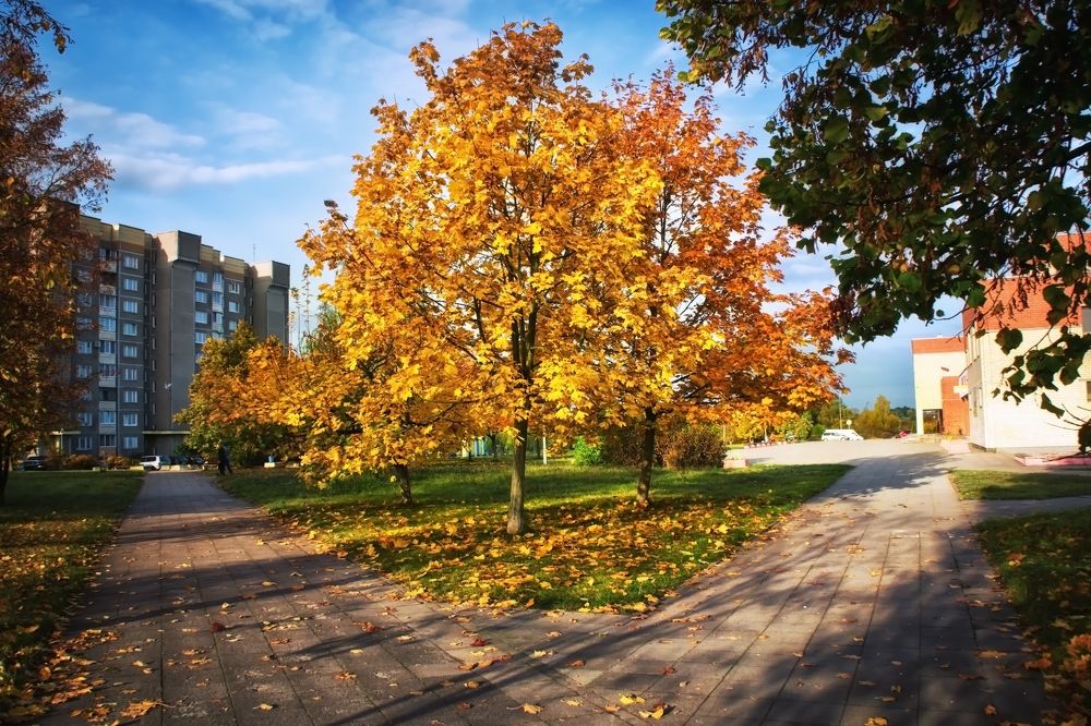 Фотография автора Юлия Кранина