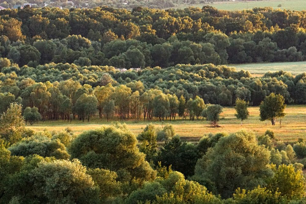 Photograph by Алфия Бугакова