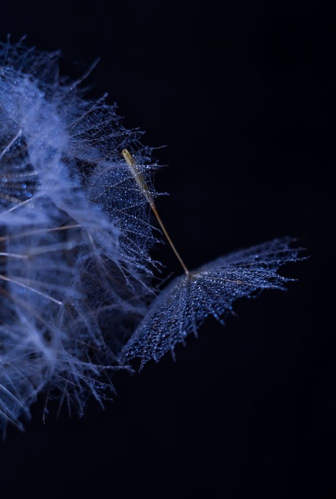 Photograph by Ирина Никульча