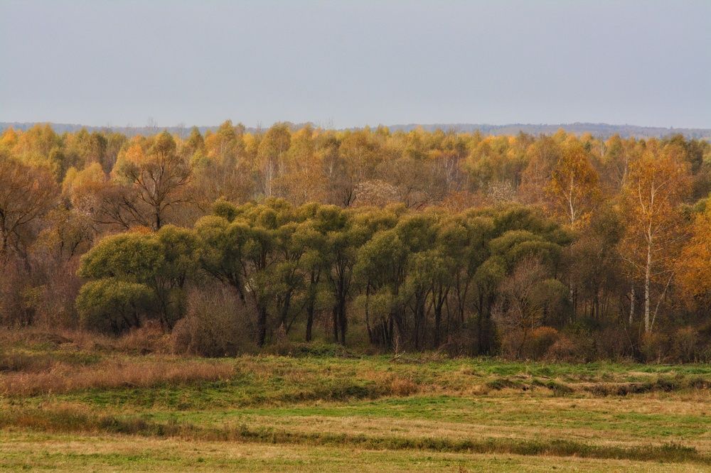 Photograph by Сергей Симаков