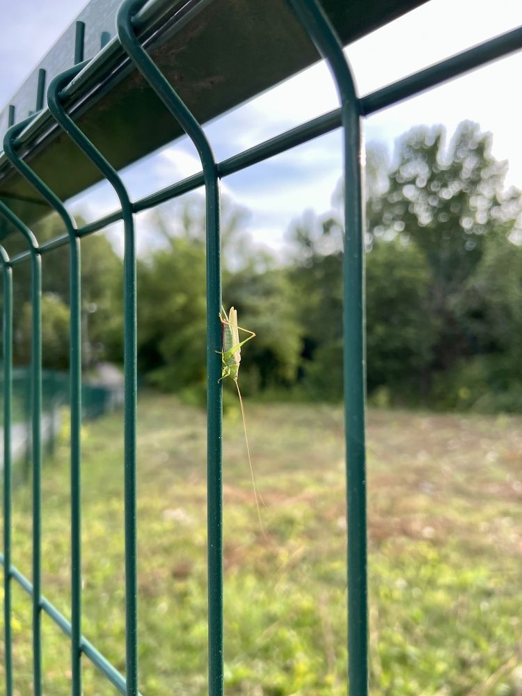 Photograph by Анна Лепихина