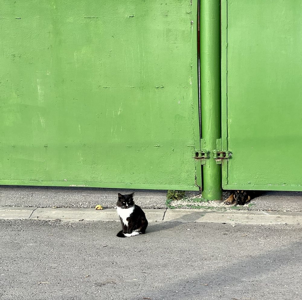 Photograph by Анна Лепихина